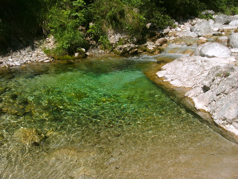 Vedronza