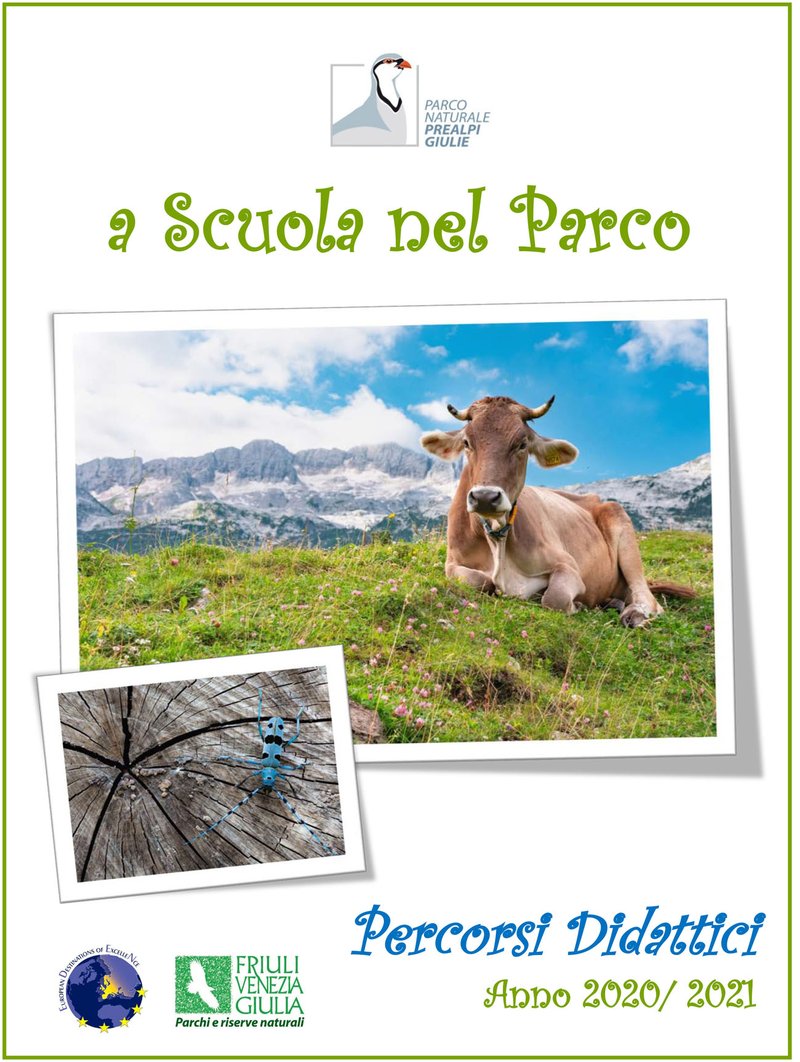 00_Percorsi_didattici_2020-2021-1.jpg