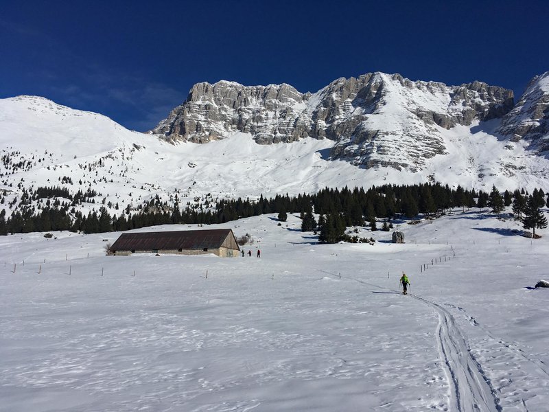 00_mont21.jpg