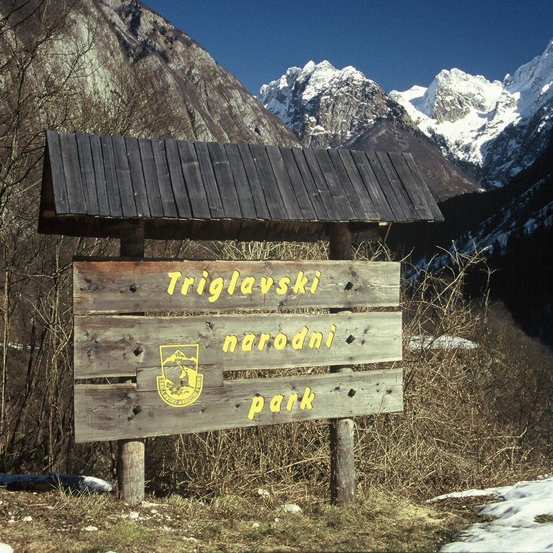 01_21_TRIGKAV.JPG