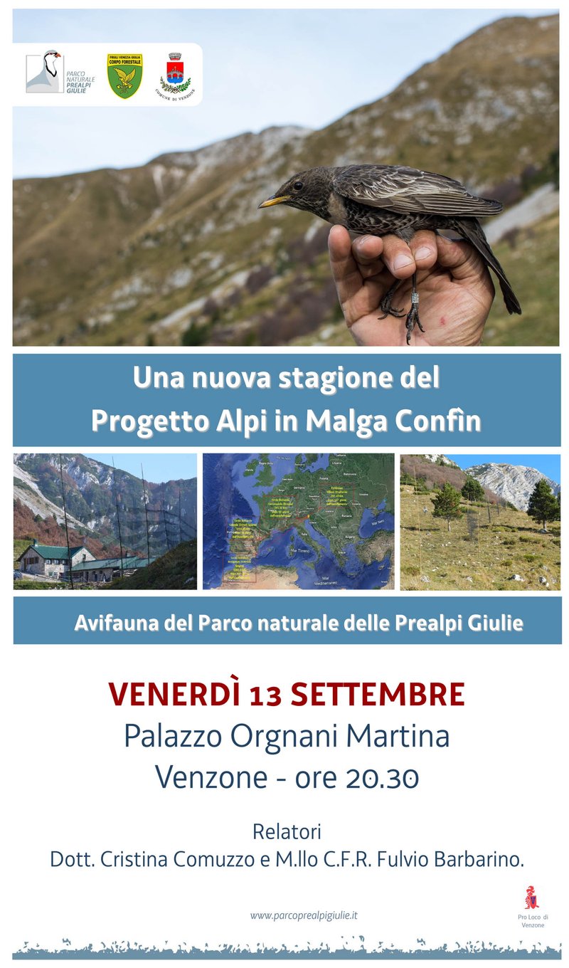 01_LOC_SERATA_AVIFAUNA.jpg