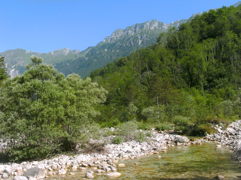 Vedronza