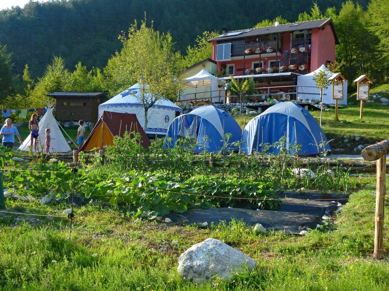 01_campo_estivo.jpg