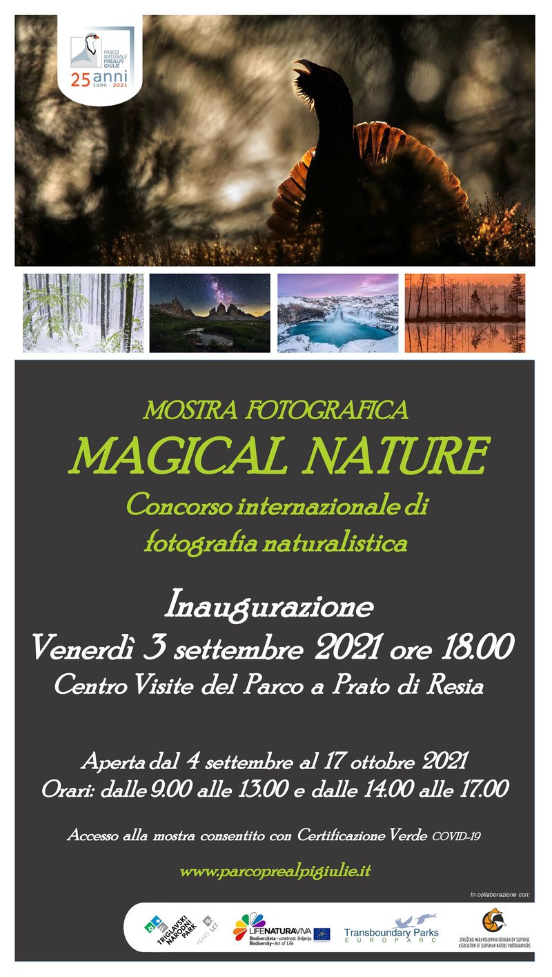 02_DEF_Loc mostra_MAGICAL NATURE.jpg