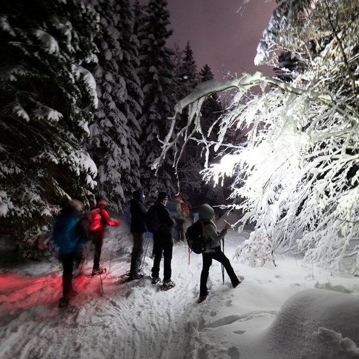 Ciaspolata_Bosco del Camet_ph Alberto Candolini
