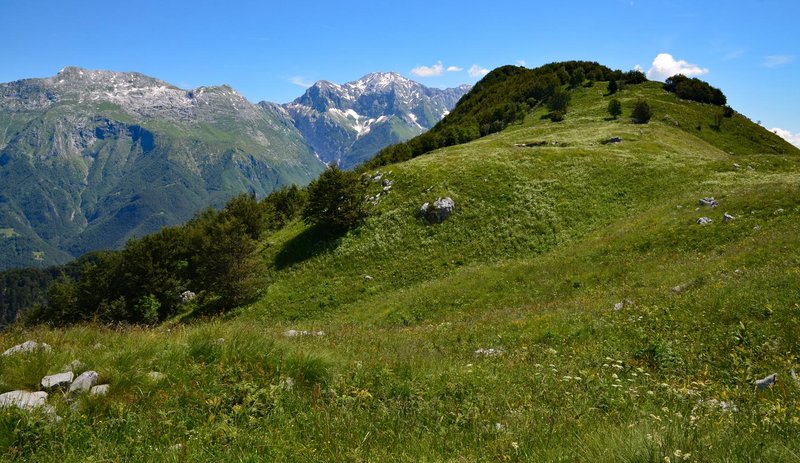 04_sella.jpg