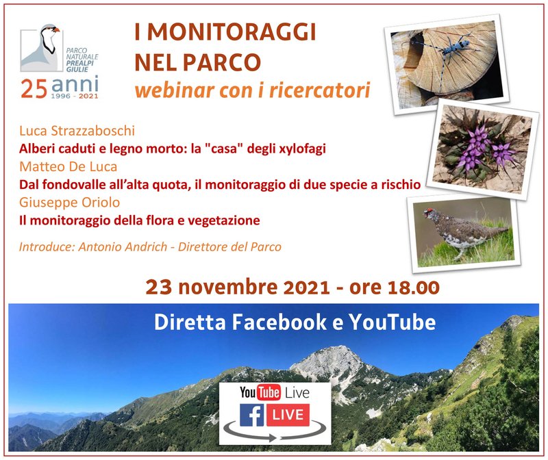 23nov_webinar02_I MONITORAGGI NEL PARCO_def.jpg