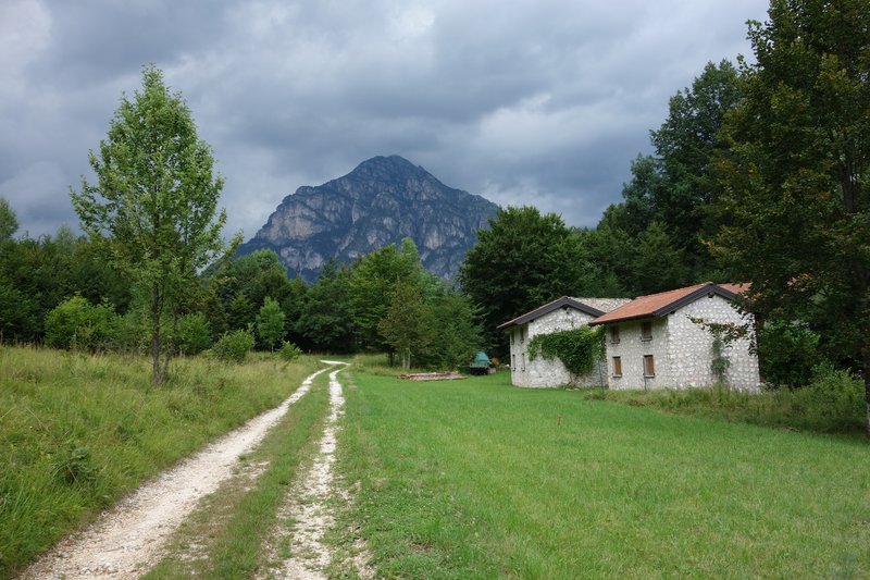3 verso ruschis FAMIANI.jpg