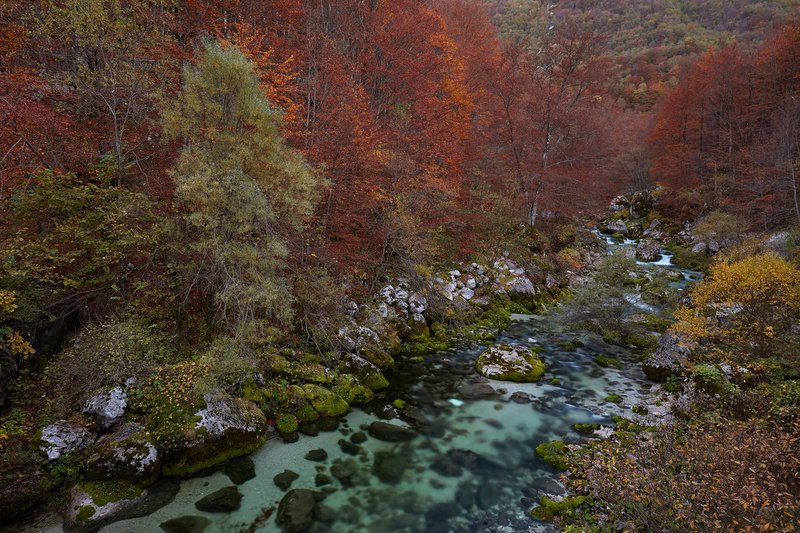 Barman_autunno_Di_Gallo.jpg