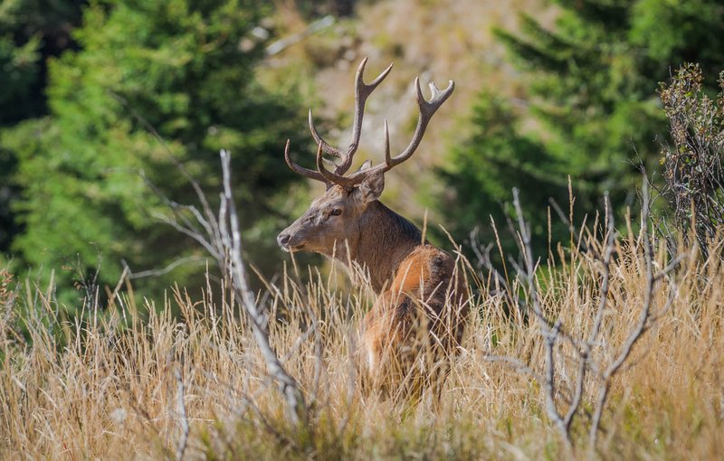 DSC_7674.jpg