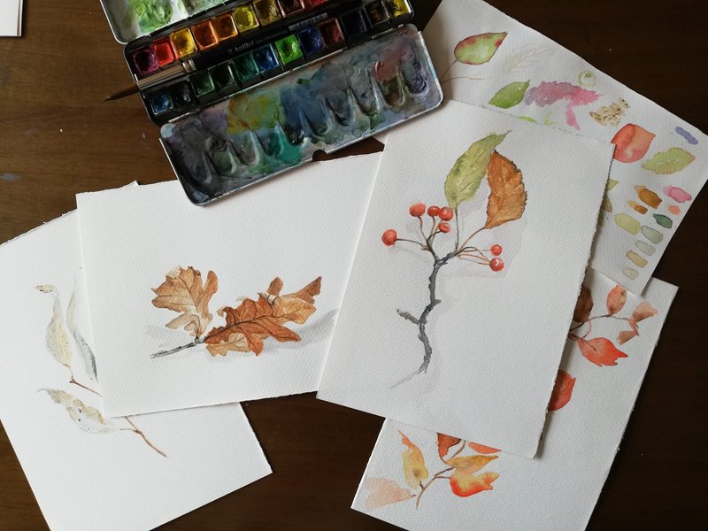 disegno