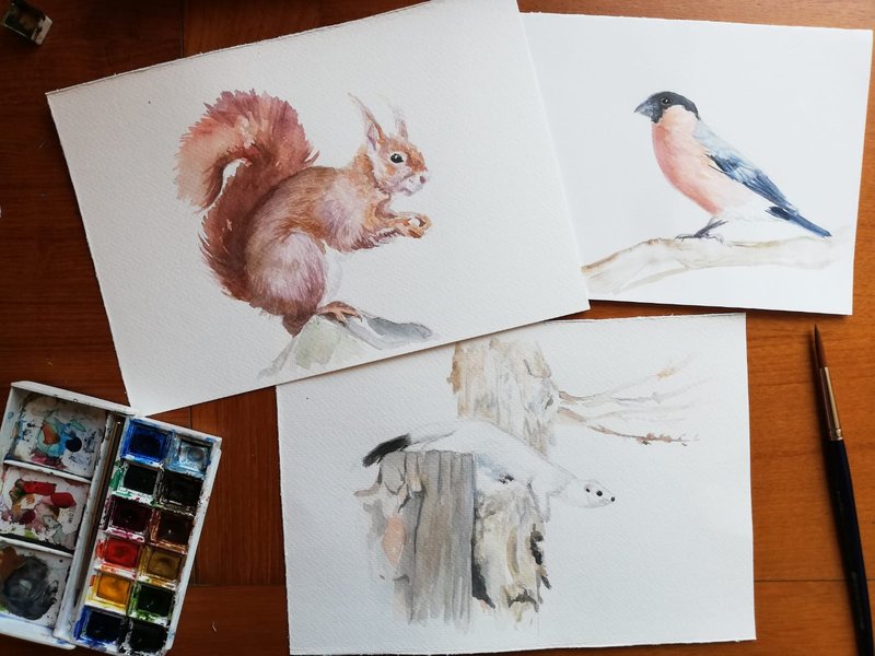 disegno animali