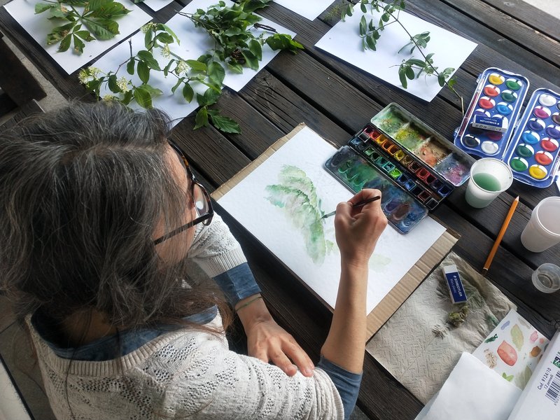 disegno