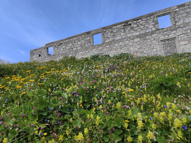 fioriture_sentiero_botanico