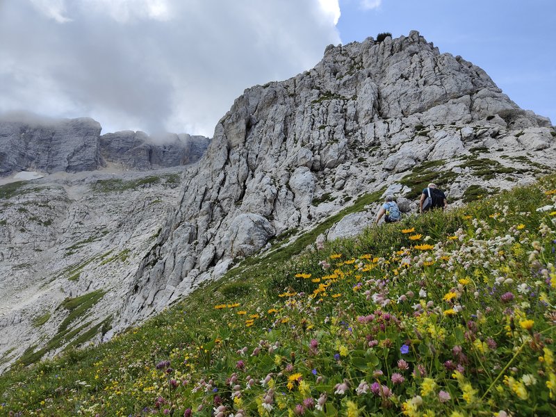 Fioriture lungo un sentiero botanico del Bila Pec nel Parco delle Prealpi Giulie ph. Patrizia Zanetti