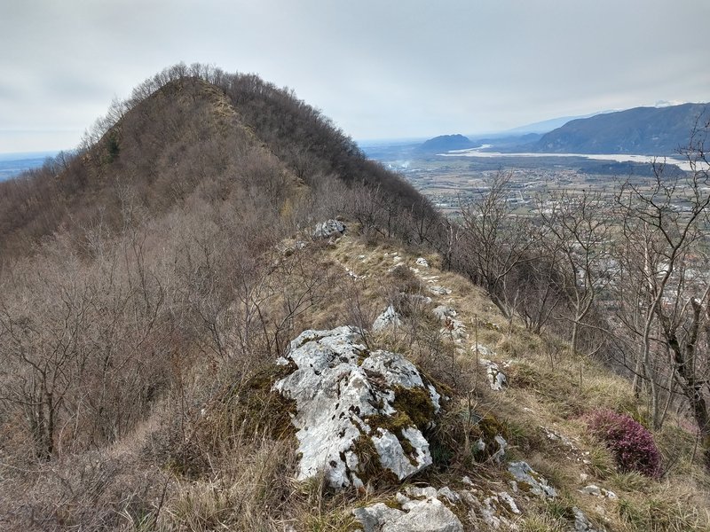 Gemona_verso_il_Monte_Glemine