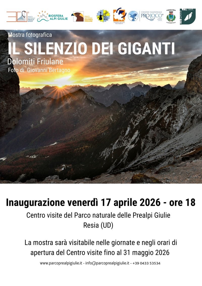 Il silenzio dei giganti_A4