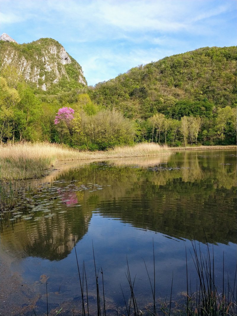 Lago minisini.jpg