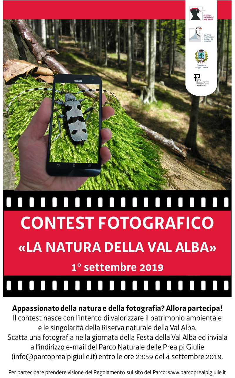 Locandina_Contest.jpg