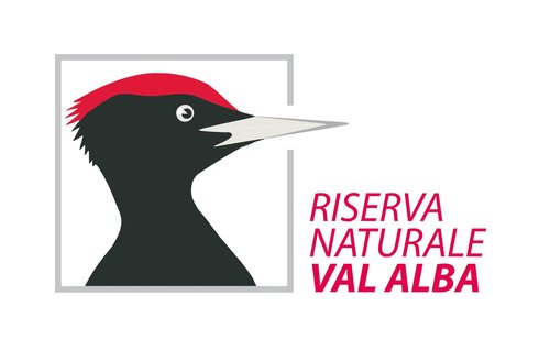 Logo_Val_Alba_con_bordi