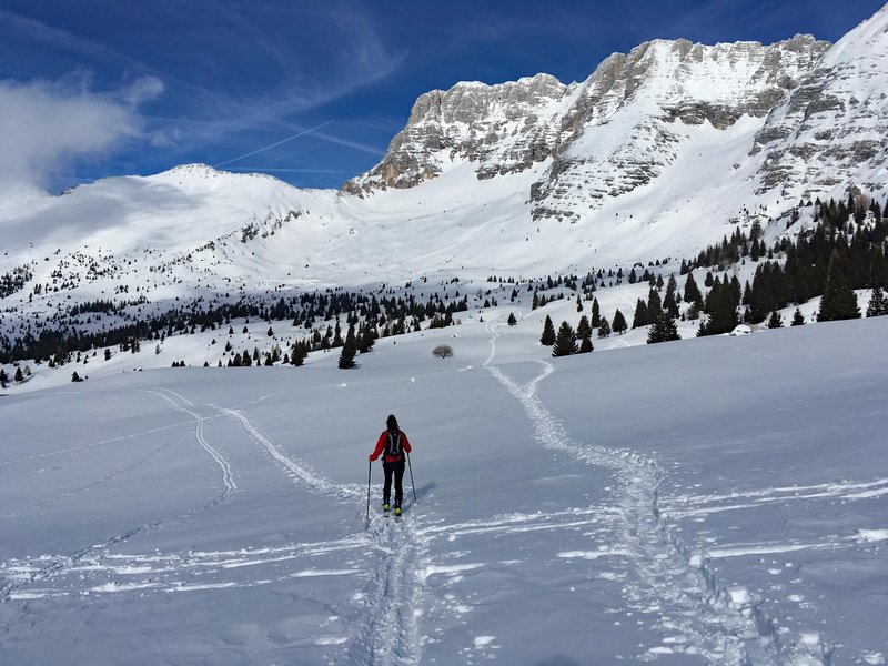 MONT_55.jpg