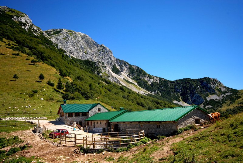Malga Confin_Ph Marco Di Lenardo