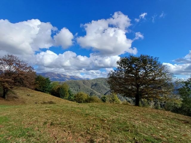 Montenars_ph_Nicola_Carbone.jpg