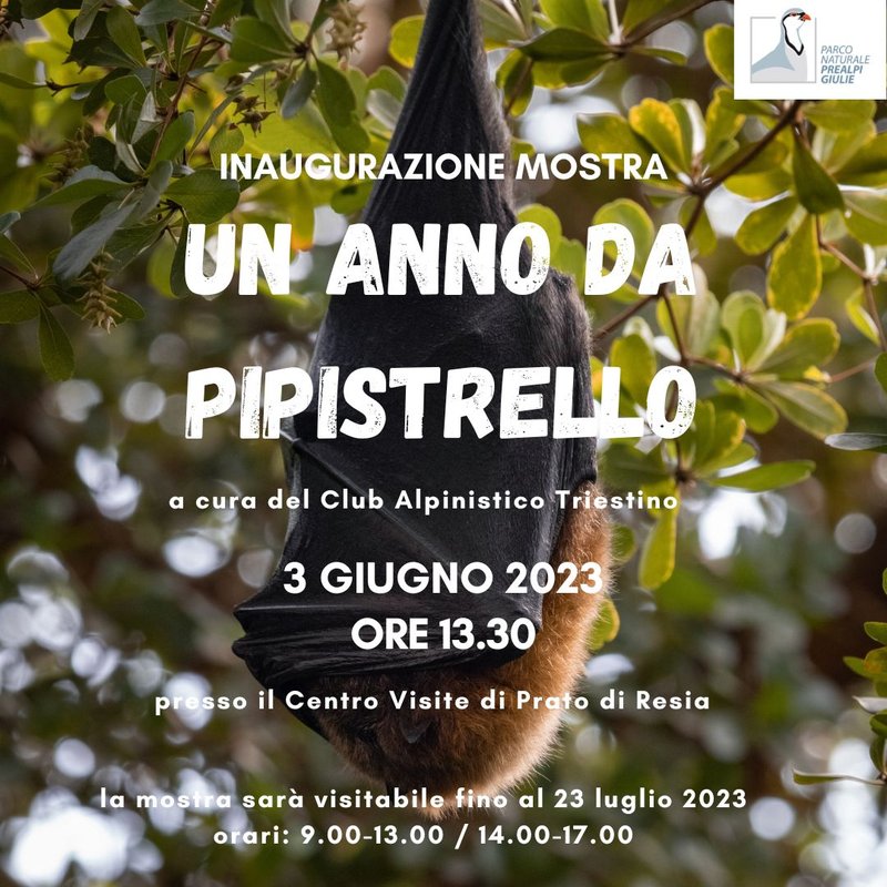 Mostra un anno da pippistrello 2023.jpg