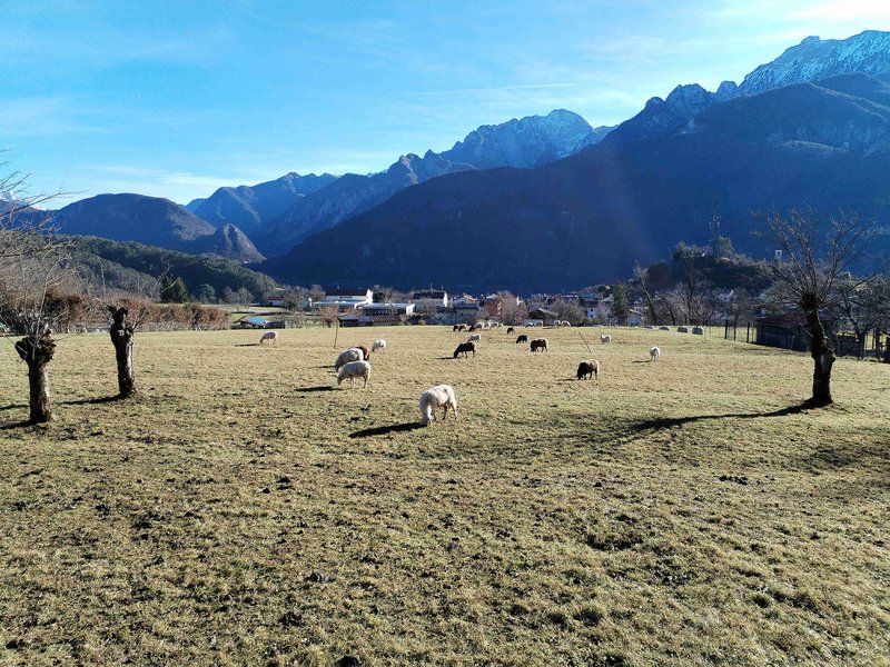 Panorami val Aupa 2 ph Andrea Sittaro