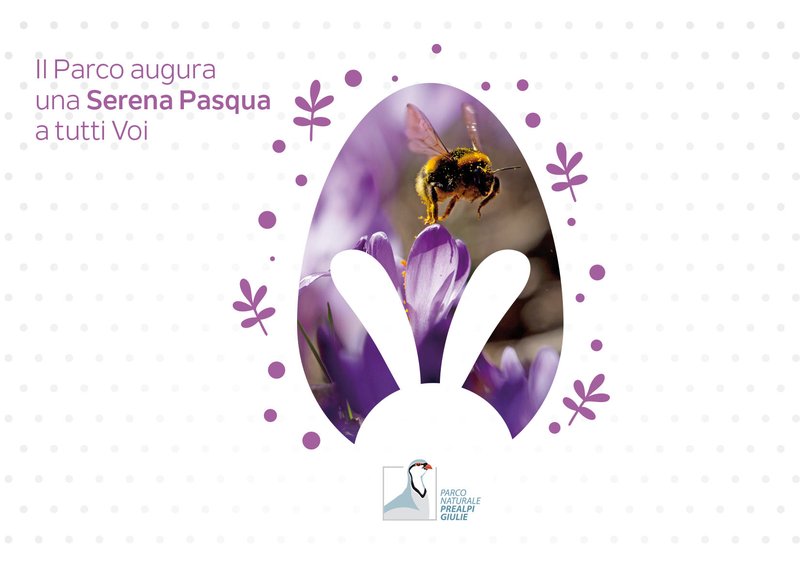 Parco Auguri Pasquali.jpg