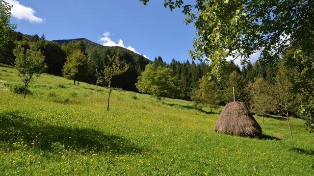 Prato_Berceza.jpg