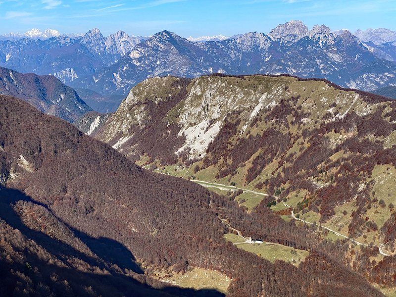 SElla Carnizza.jpg