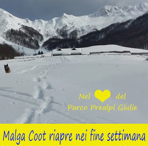 Senza_titolo-1.jpg