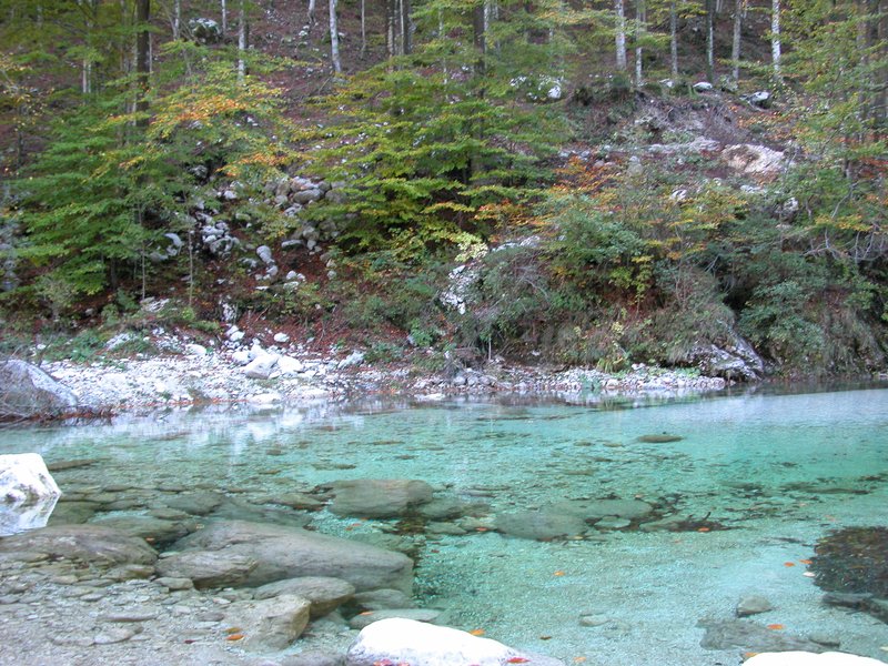 Torrente Uccea - ph Marco Di Lenardo.JPG