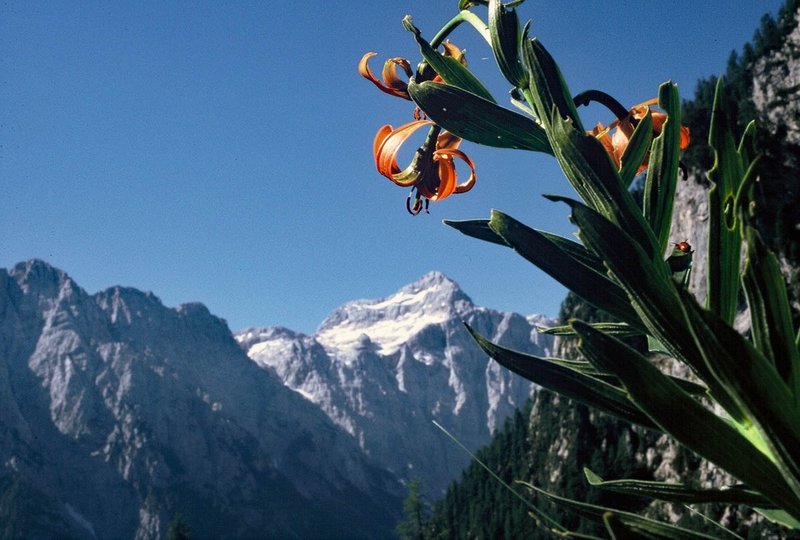 Triglav.JPG