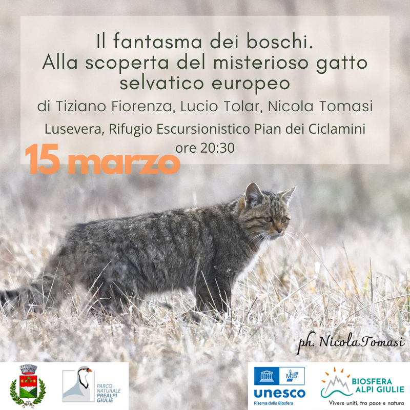 _Carosello fra le pagine della natura 2024 .png