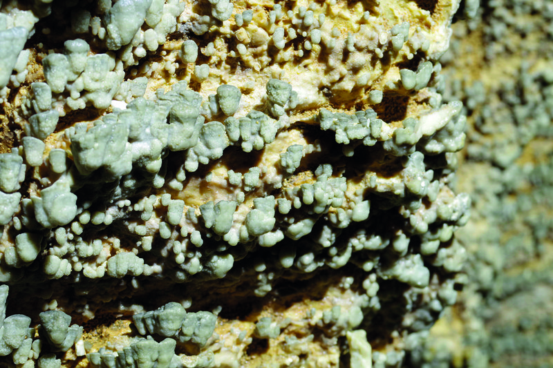 Concrezionamento_carbonatico_nella_Grotta_Turbine_ph Adalberto D’Andrea_CSIF