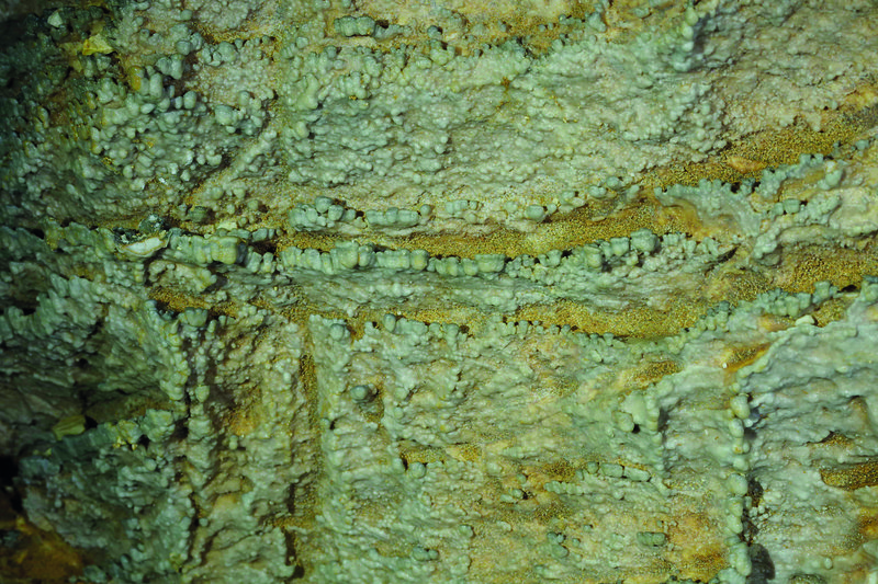 Concrezionamento_carbonatico_nella_Grotta_Turbine_ph Adalberto D’Andrea_CSIF