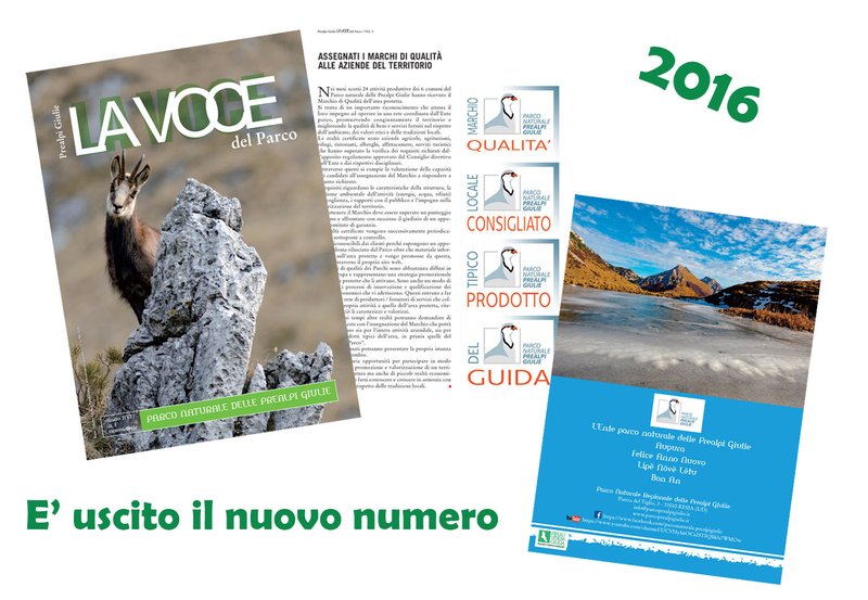 banner_interno_notiziario.jpg