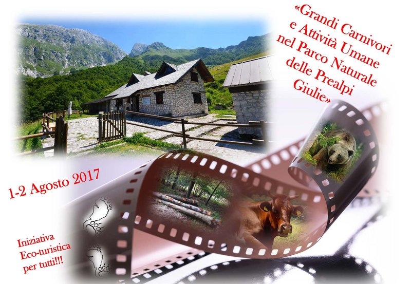 locCOOT1_2agosto_Pagina_1.jpg