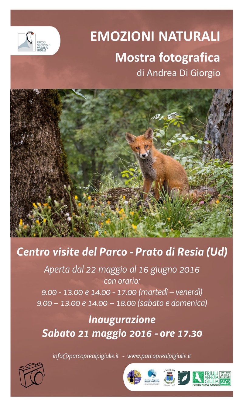 locandina_mostra.jpg