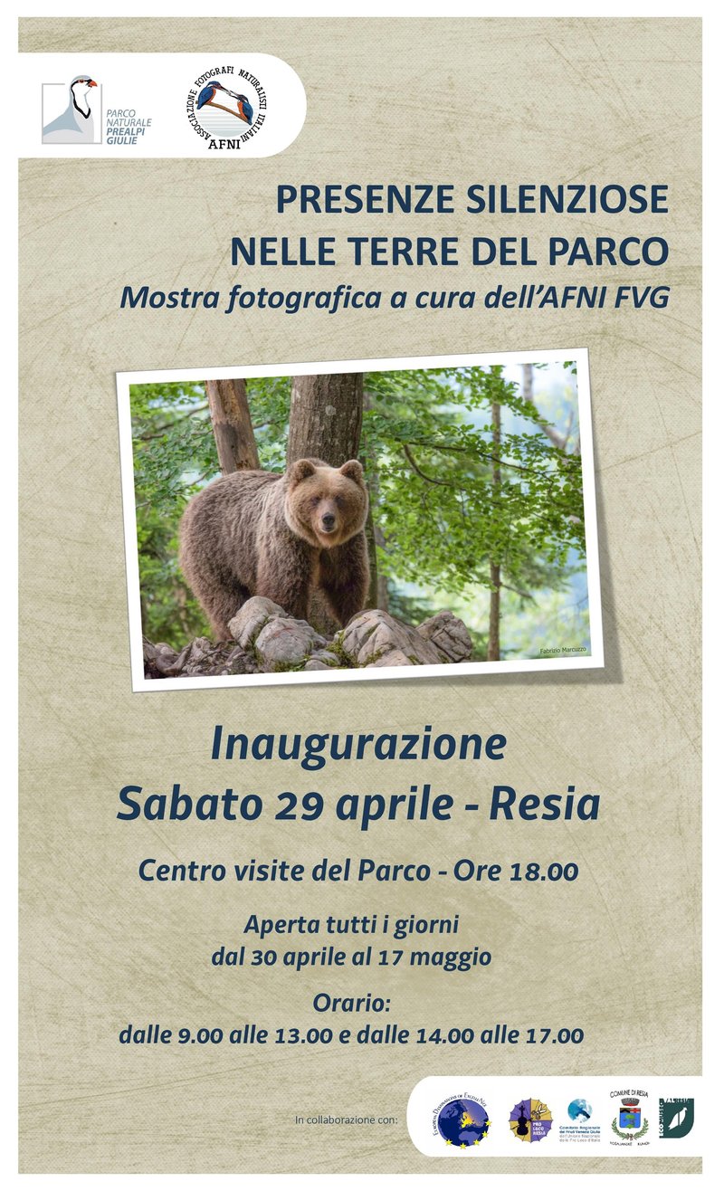 locandina_mostra_AFNI.jpg