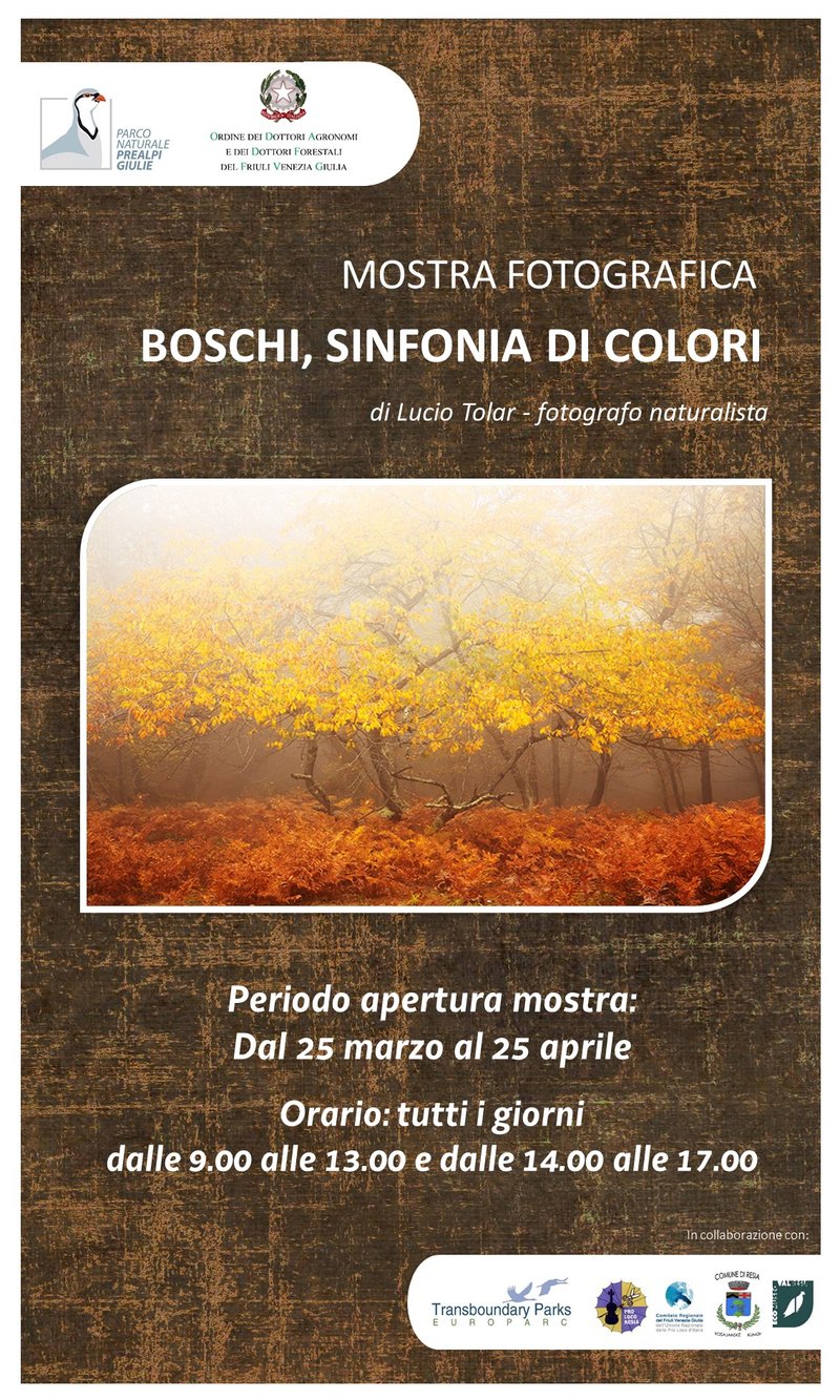 locandina_mostra_CV_boschi.jpg
