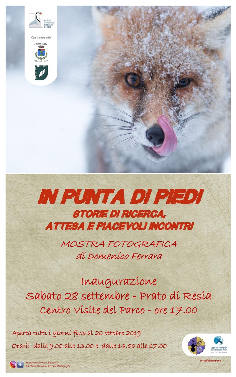 locandina_mostra_In_Punta_di_piedi.jpg