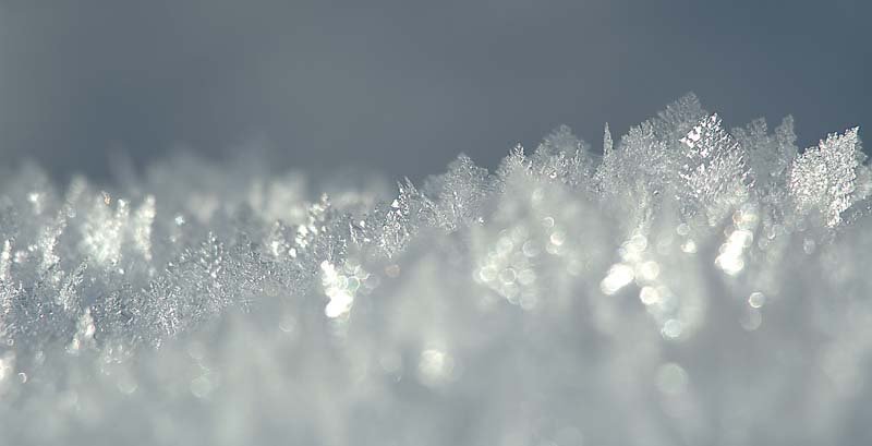 neve.jpg