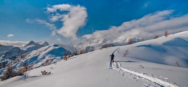 turna_smuka_pokljuka.jpg